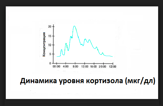 график суточных колебаний кортизола в виде горки